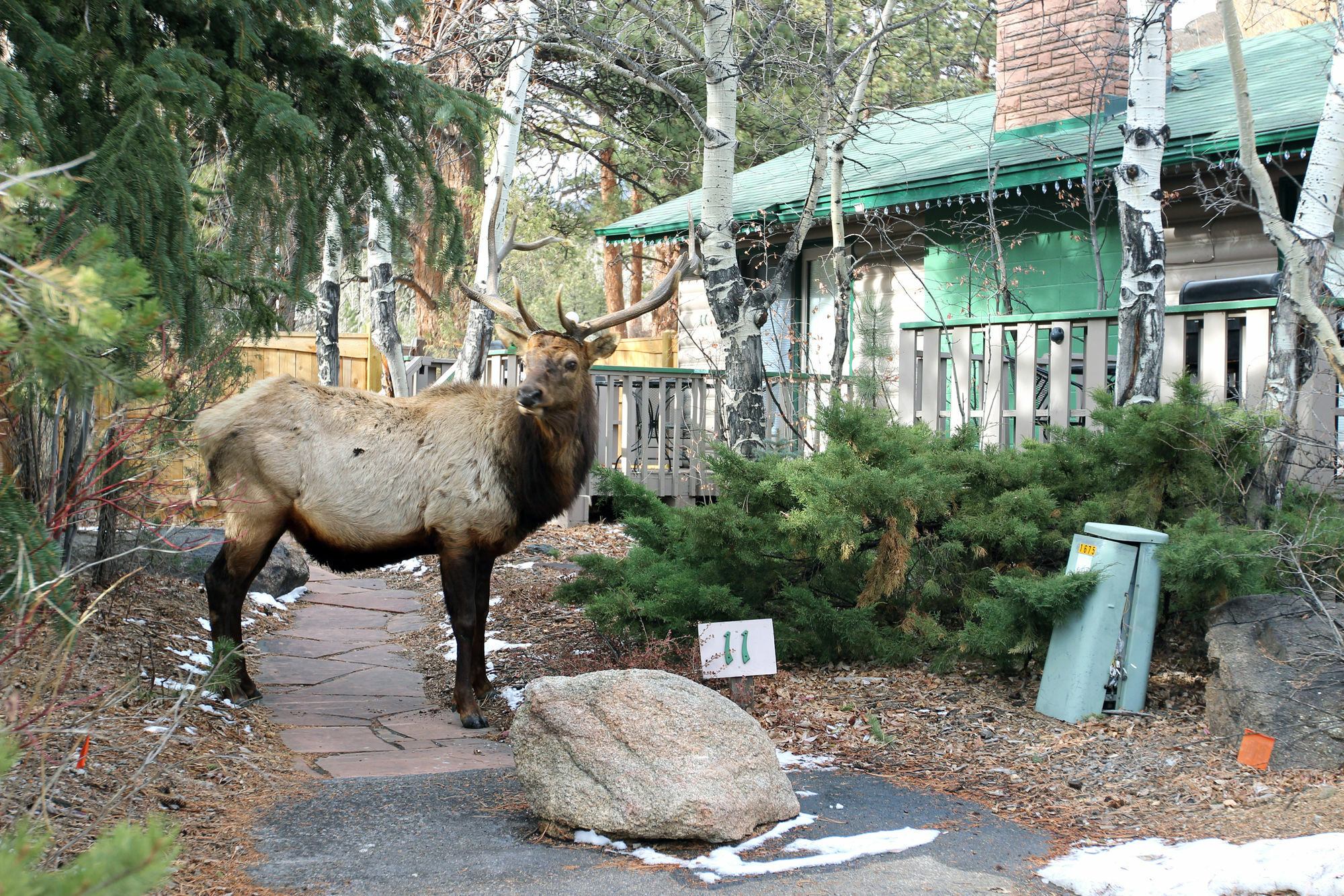 Sunnyside Knoll Resort Estes Park Luaran gambar